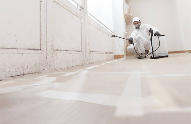 24/7 Emergency Mold Remediation experts in Calvin, PA