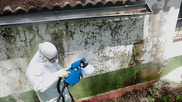 Top rated local Mold Remediation specialists in Calvin, PA